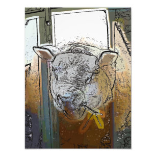 SHEEP PHOTO PRINT