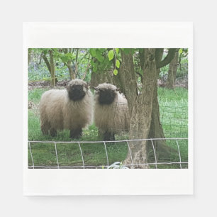 Sheep Picture Napkin