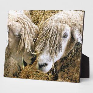 SHEEP PLAQUE