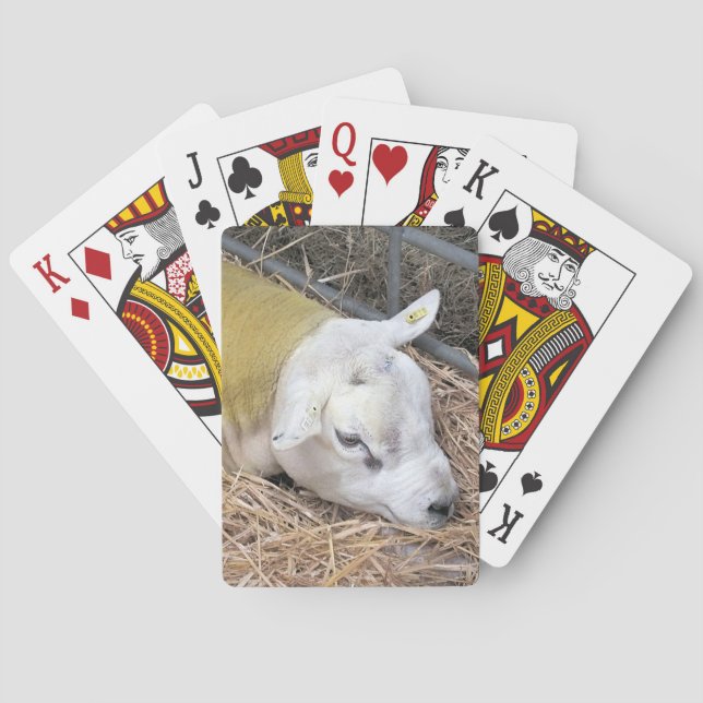SHEEP PLAYING CARDS (Back)