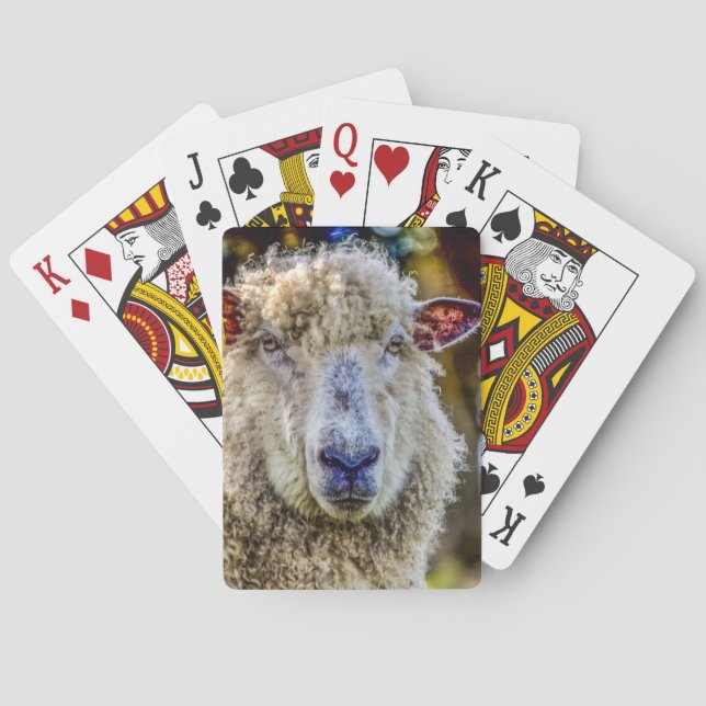 Sheep Playing Cards (Back)