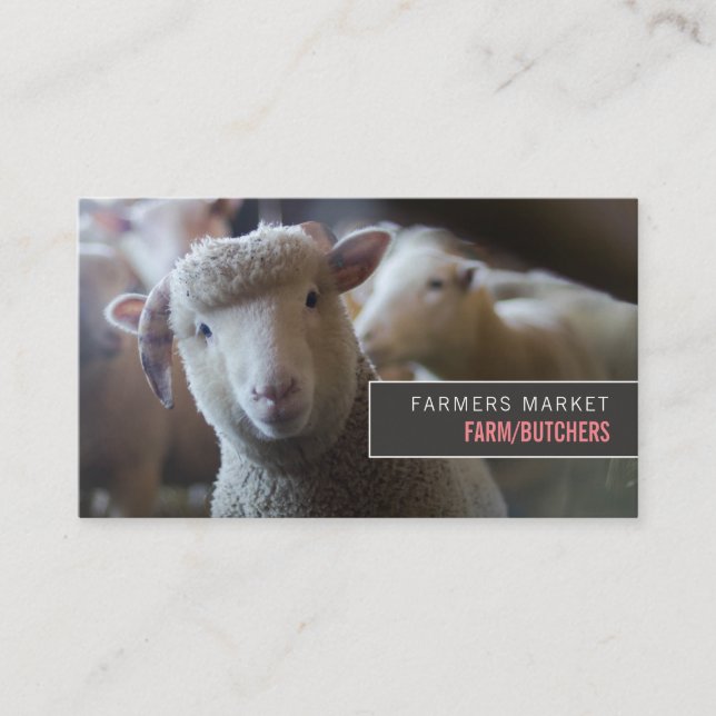Sheep Portrait, Farmer & Butcher Business Card (Front)