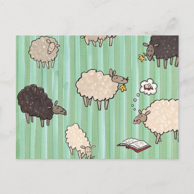 Sheep Postcard (Front)
