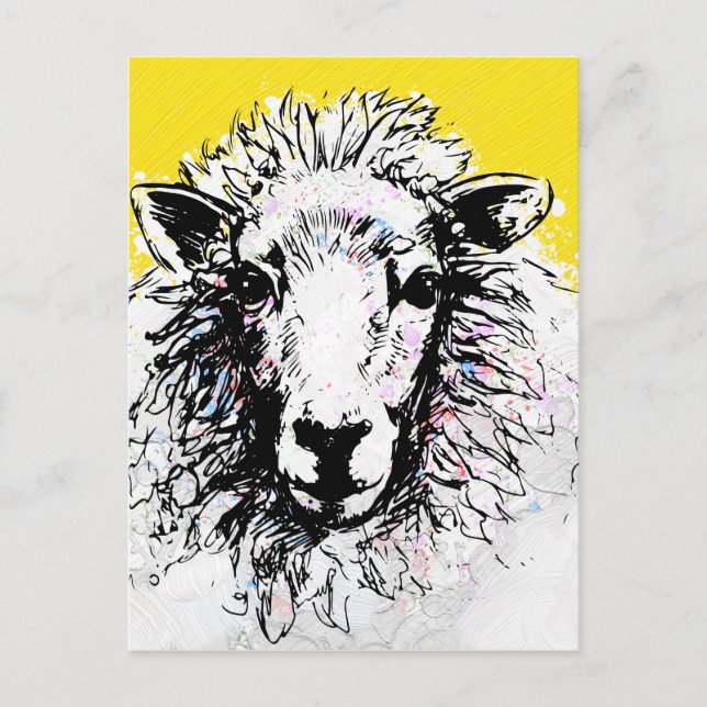 Sheep Postcard (Front)