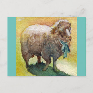 Sheep postcard