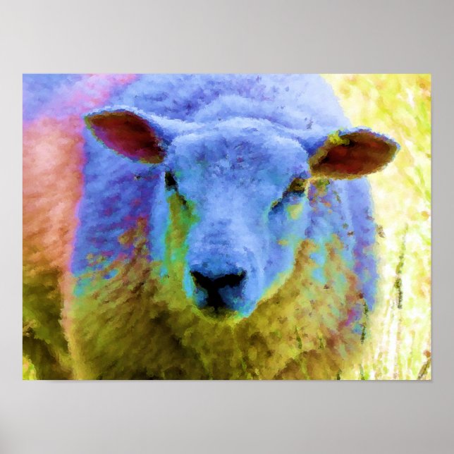SHEEP POSTER (Front)