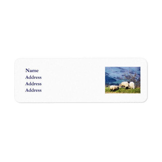 SHEEP RETURN ADDRESS LABEL (Front)