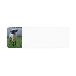 Sheep Return Address Label