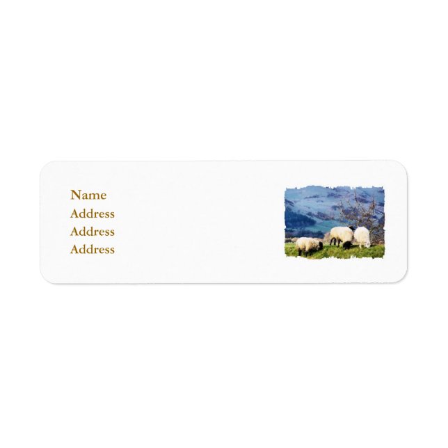 SHEEP RETURN ADDRESS LABEL (Front)