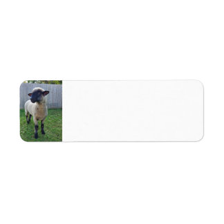 Sheep Return Address Label