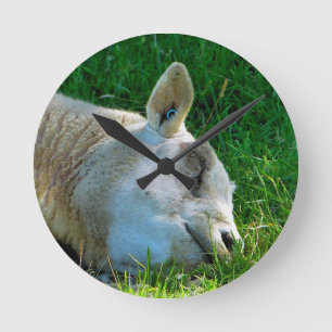 SHEEP ROUND CLOCK