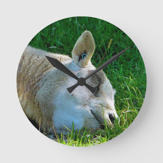 SHEEP ROUND CLOCK (Front)