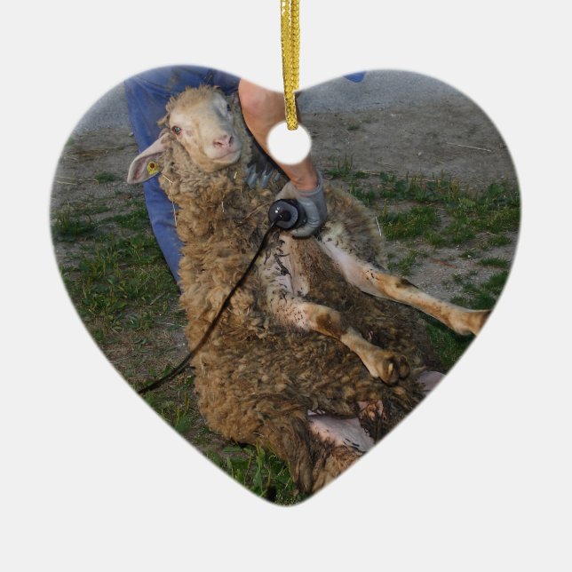 Sheep Shearing Ceramic Tree Decoration (Front)