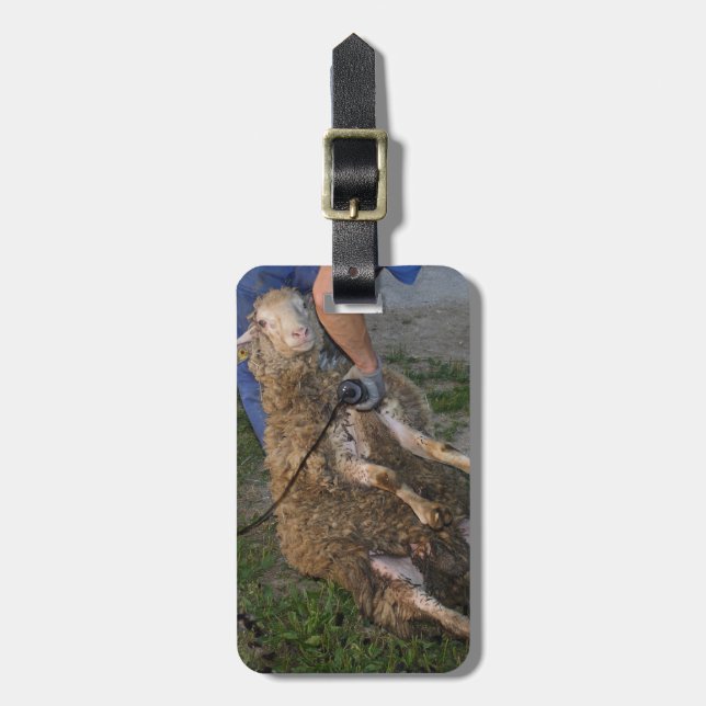 Sheep Shearing Luggage Tag (Front Vertical)