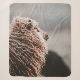 SHEEP SHERPA BLANKET