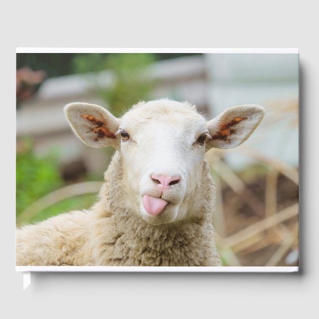 Sheep show tongue guest book (Front)