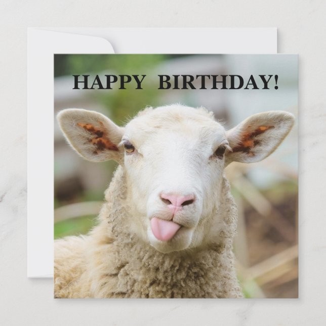 Sheep show tongue holiday card (Front)