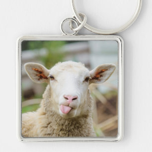 Sheep show tongue key ring