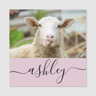 Sheep show tongue name tag