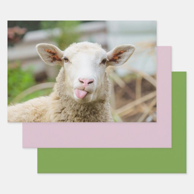 Sheep show tongue wrapping paper sheet (Set)