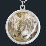 SHEEP SILVER PLATED NECKLACE<br><div class="desc">Two beautiful Cotswold sheep captured photographically in a funny and humourous moment talking to each other. Cotswold sheep originate from the Cotswolds in England and are bred for their wool and meat. They have long fleeces with an almost golden tint to it.</div>