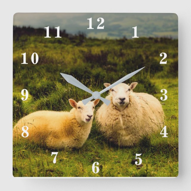 Sheep Square Wall Clock (Front)