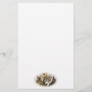 SHEEP STATIONERY