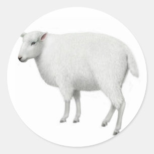 Sheep Sticker