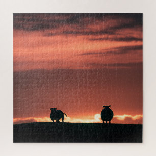 Sheep Sunset Jigsaw Puzzle