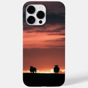 Sheep Sunset Nature Photo Case-Mate iPhone 14 Pro Max Case