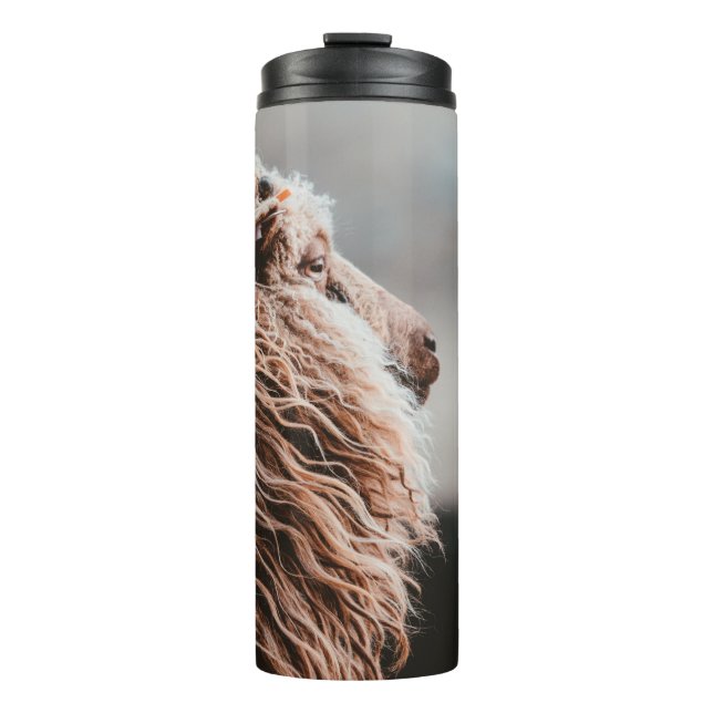 SHEEP THERMAL TUMBLER (Front)