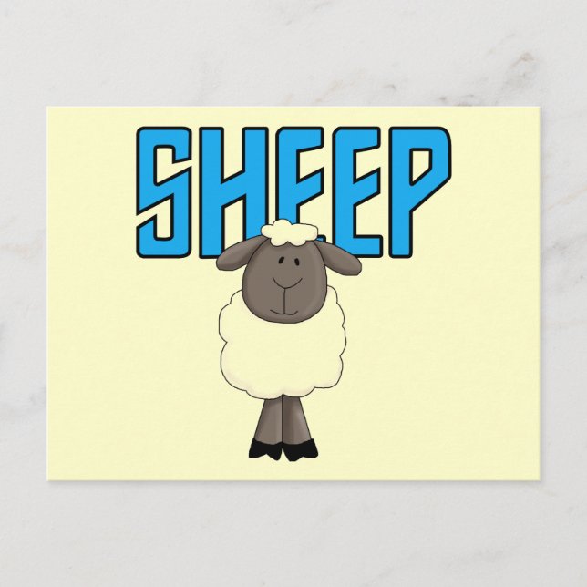 Sheep Tshirts and Gifts Postcard (Front)