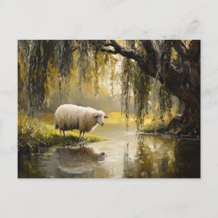 Sheep Under A Willow Tree Painting Postcard