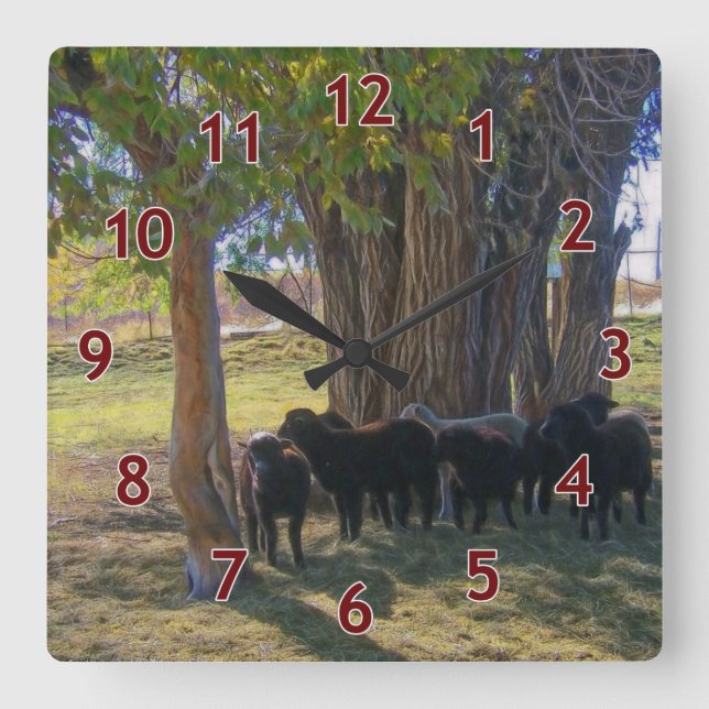 Sheep Under the Trees Square Wall Clock (Front)
