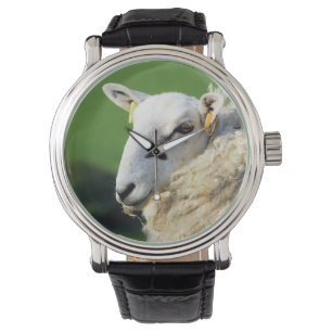 SHEEP WATCH