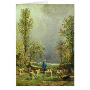 Sheep watching a Storm