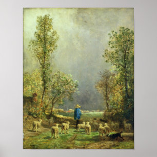 Sheep watching a Storm Poster