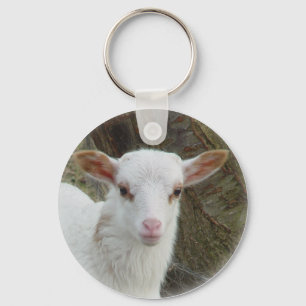 Sheep - White Lamb Key Ring
