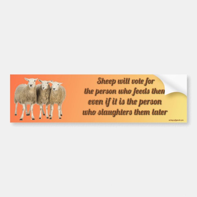 sheep will vote for... bumper sticker (Front)