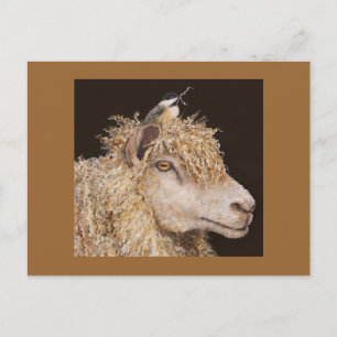 sheep with chickadee postcard