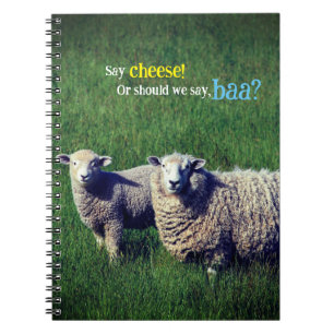 Sheep with lamb in grass meadow notebook
