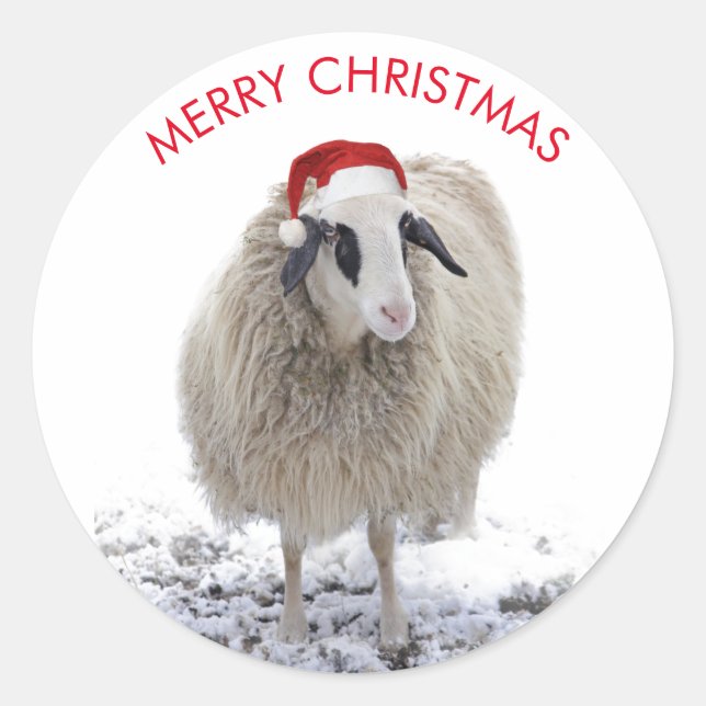 SHEEP WITH Santa hat CUSTOMIZABLE STICKERS (Front)