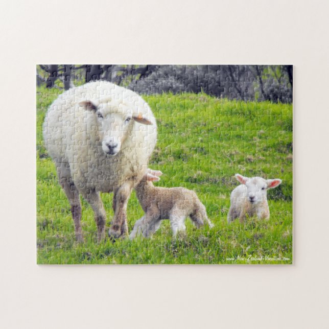 Sheep With Twin Lambs Jigsaw Puzzle (Horizontal)
