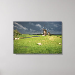 Sheep with windmills under dark clouds canvas print