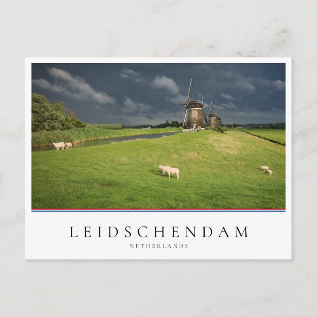 Sheep with windmills under dark clouds postcard (Front)