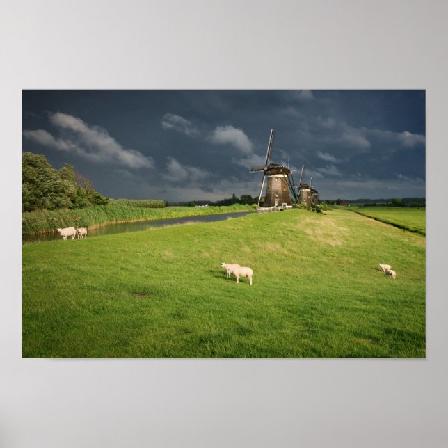 Sheep with windmills under dark clouds poster (Front)