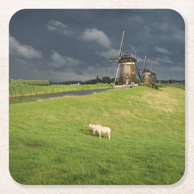 Sheep with windmills under dark clouds square paper coaster (Front)