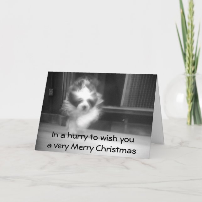 SHEEPDOG CHRISTMAS WISHES HOLIDAY CARD (Front)