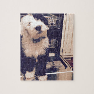 Sheepdog Love Jigsaw Puzzle