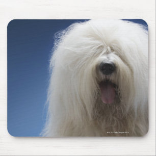 Sheepdog Mouse Pad